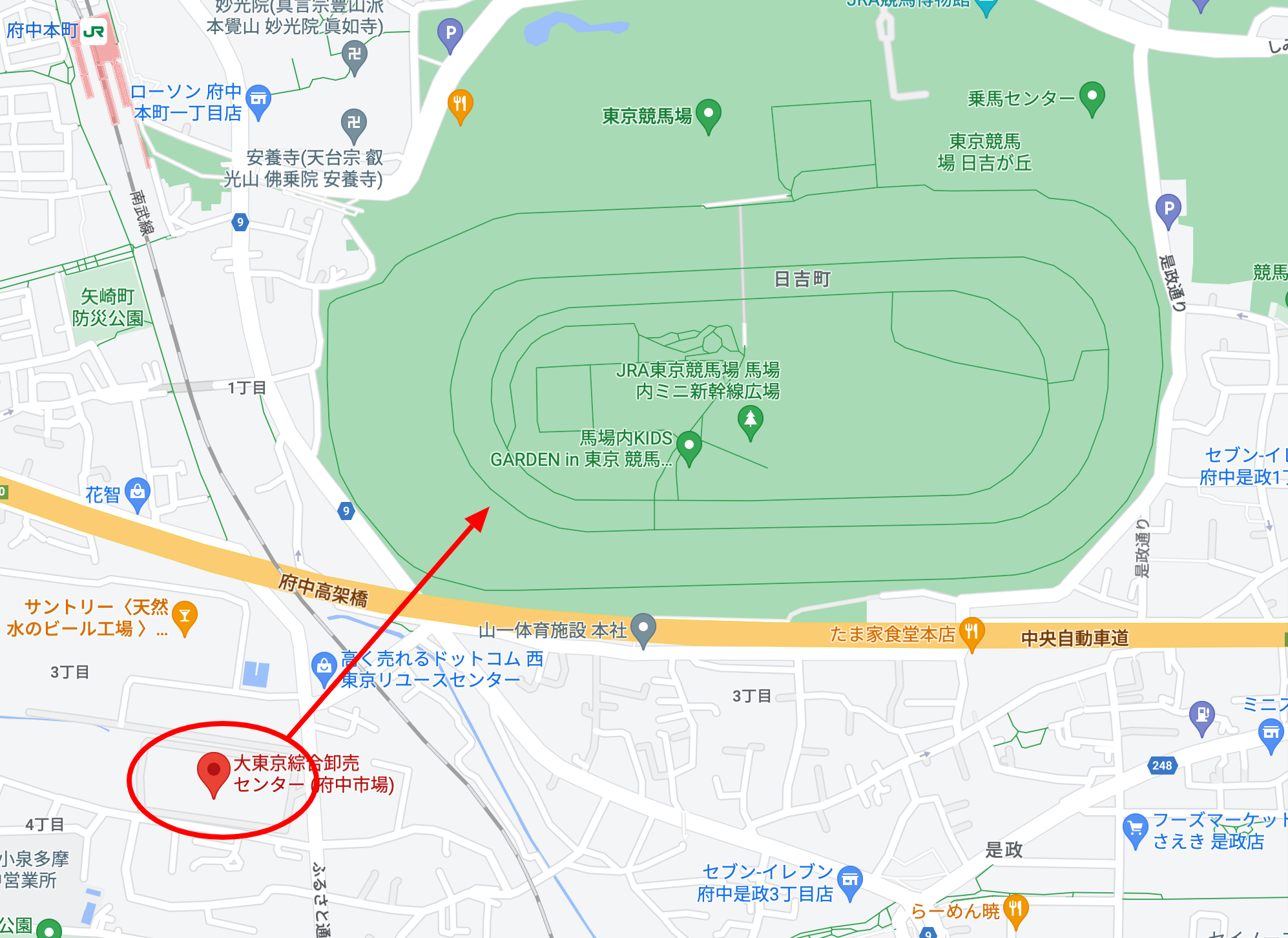 東京すごい花火2023の穴場・場外スポットは大東京総合卸売センターの屋上駐車場